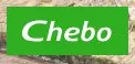 Двигатель, капитальный ремонт ЯМЗ 850.10