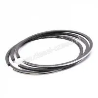 Кольца поршневые Isuzu 4JJ1 (8980572220)