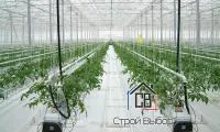Агротекстиль Agrojutex белый 130г/м2